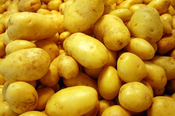 Купить картофель оптом в  | Цена, сорта картофельной продукции .